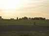 Sunset near the wheat farm